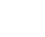 Evolution games at Wom Bet Casino